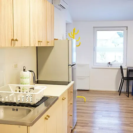 Rezidenca Erjavec Apartment *